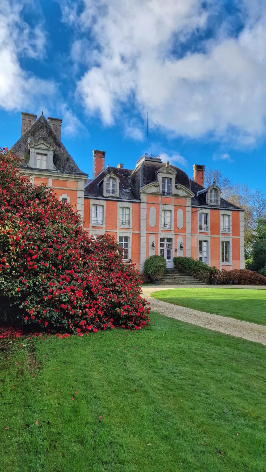 Chateau De Chantore Bacilly Exterior foto