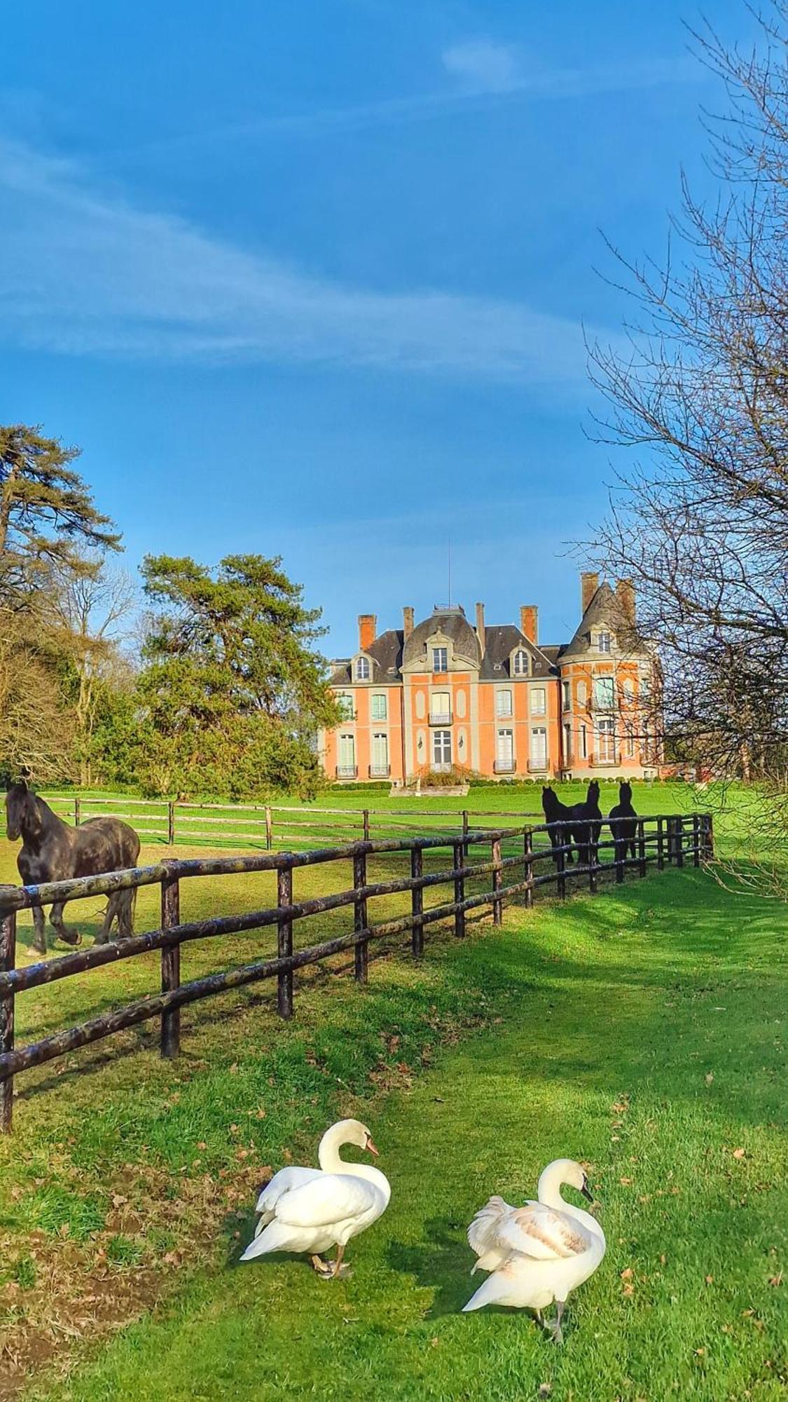 Chateau De Chantore Bacilly Exterior foto