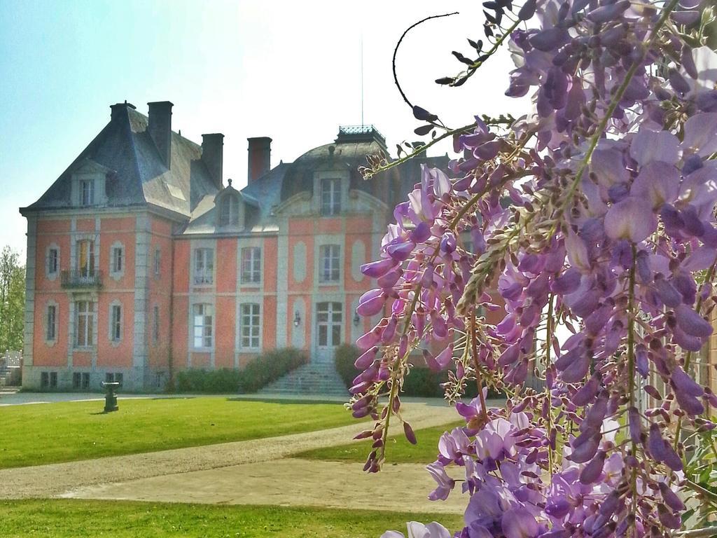 Chateau De Chantore Bacilly Exterior foto